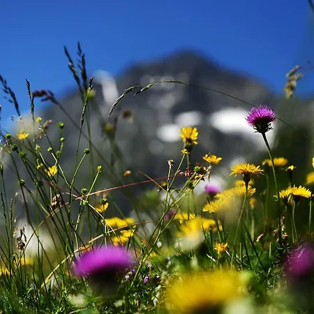 Gæstehus Tina Neustift im Stubaital