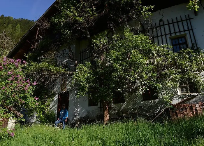 蒂娜旅馆 招待所 3*