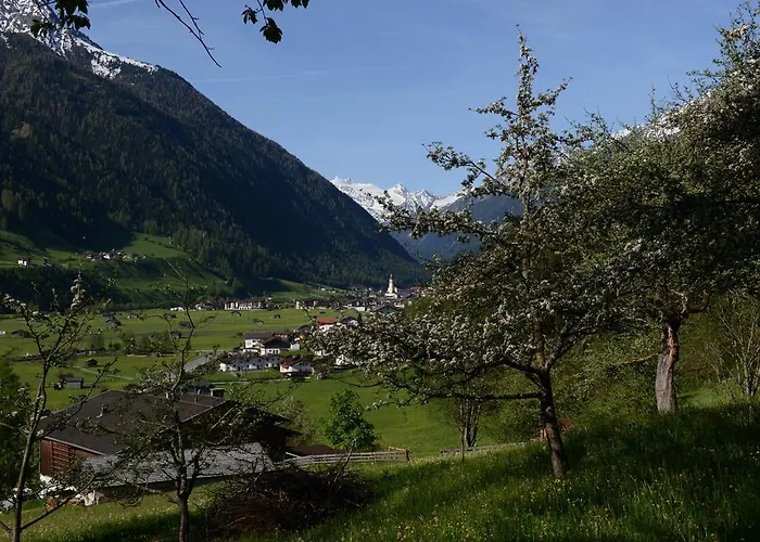 蒂娜旅馆 招待所