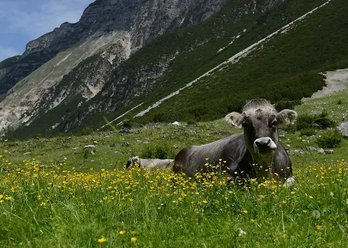 蒂娜旅馆 招待所 3*